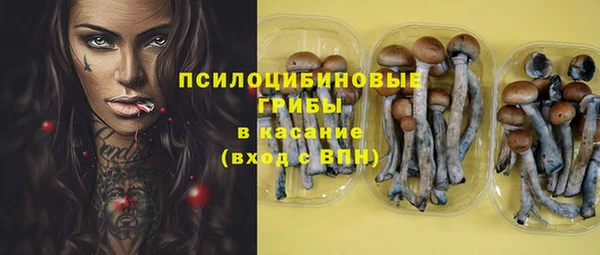 прущая мука Бронницы