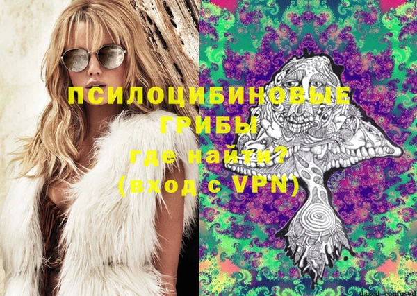 кокс Бородино