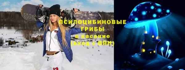 экстази Богданович