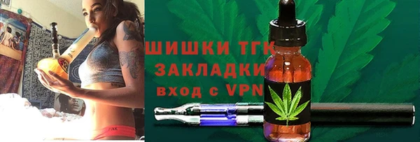 шишки Богородицк