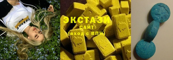 шишки Богородицк