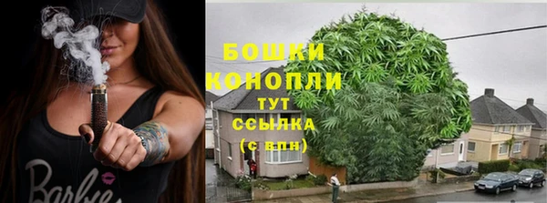 шишки Богородицк