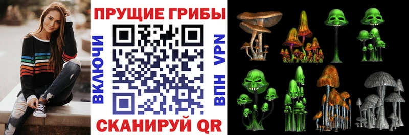 Псилоцибиновые грибы Psilocybine cubensis Полесск
