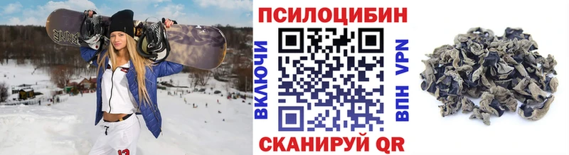 Псилоцибиновые грибы мицелий  Полесск 